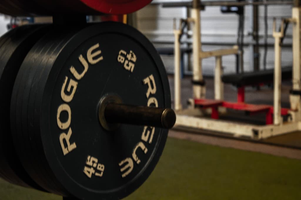 Rogue 45 lb bumper plates stacked on a weight tree, squat rack and green turf blurred in the background